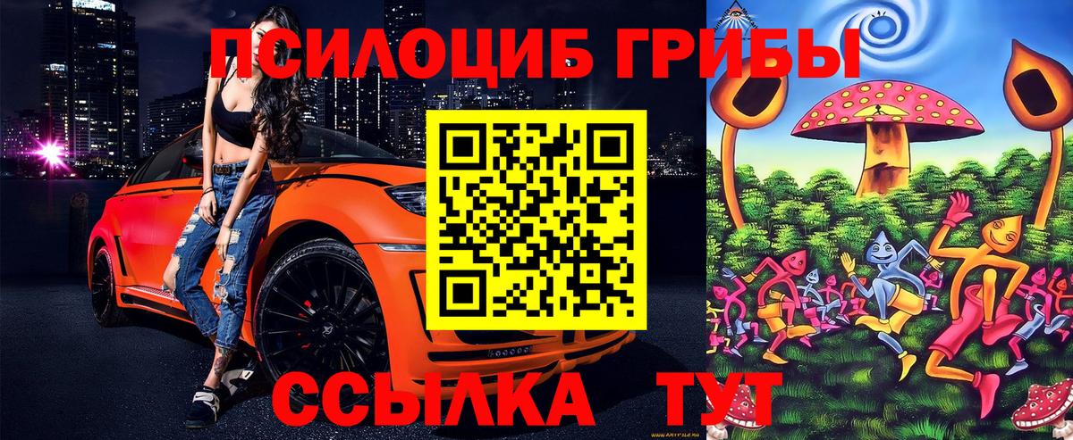 Псилоцибиновые грибы Psilocybine cubensis Апрелевка